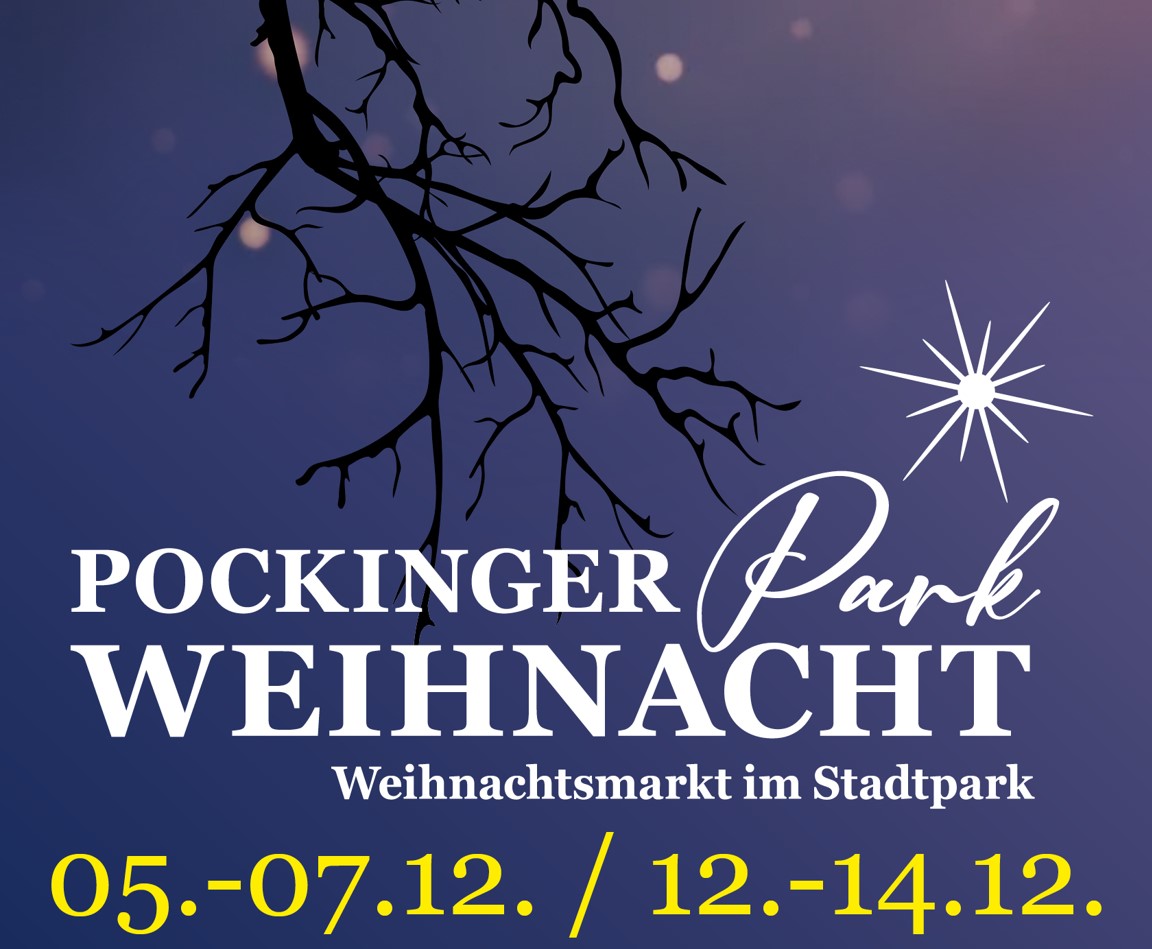 Park-Weihnacht 25